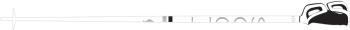 Scott Strapless S skipoles 2.Image