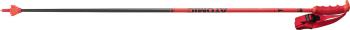 Atomic Redster Carbon skipoles 2.Image