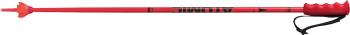 Atomic Redster Jr skipoles 2.Image