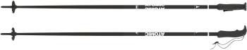 Atomic AMT skipoles 3.Image