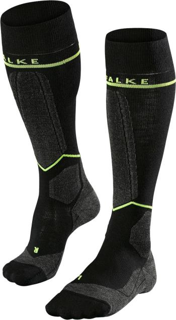 Falke SK Energizing socks 1.Image