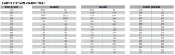 Fischer RC3 Carbon poles 3.Image