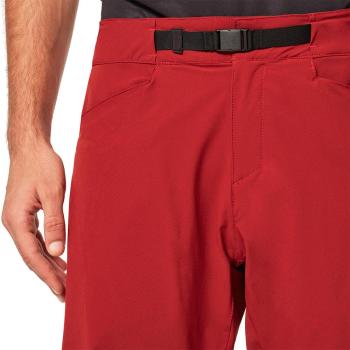 Oakley Drop In MTB shorts 11.Image