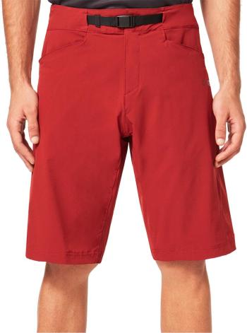 Oakley Drop In MTB shorts 13.Image