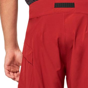 Oakley Drop In MTB shorts 9.Image