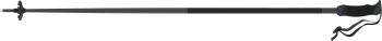 Atomic AMT SQS ski poles 2.Image