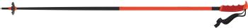 Atomic Redster ski poles 2.Image