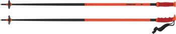 Atomic Redster ski poles 3.Image