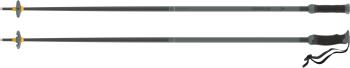 Atomic Redster Q SQS ski poles 3.Image