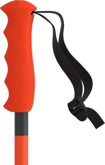 Atomic Redster Jr ski poles 5.Image