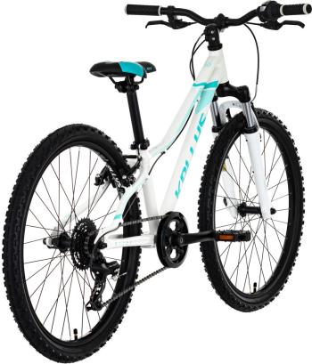 Kellys Kiter 50 24 bikes 2.Image