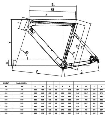 Bianchi Aria Disc 105 Di2 bikes 2.Image