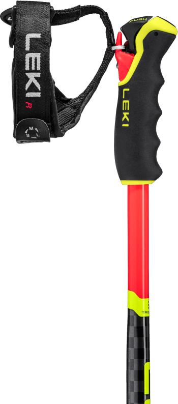 Leki WCR Lite GS 3D ski poles 3.Image