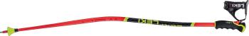 Leki WCR Lite GS 3D ski poles 2.Image