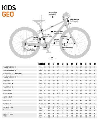 KTM Wild Speed 24 Disc bikes 2.Image