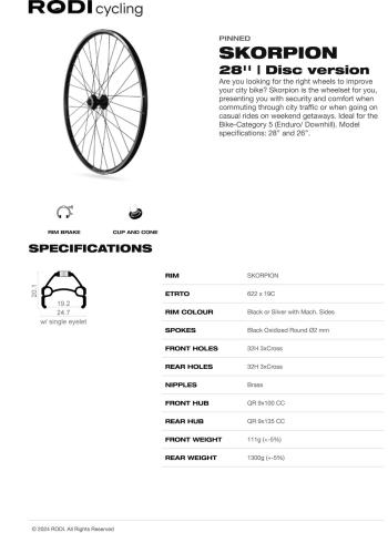 Rodi Skorpion 28/36 rear wheel 2.Image