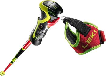 Leki WCR SL 3D skipoles 3.Image