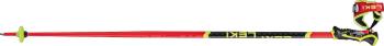 Leki WCR SL 3D skipoles 2.Image