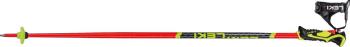 Leki WCR Lite SL 3D ski poles 2.Image