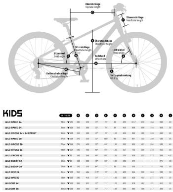 KTM Wild Cat 20 bike 3.Image