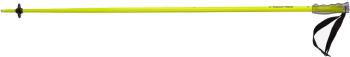 Head Multi S ski poles 4.Image