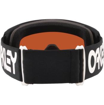 Oakley Line Miner L Prizm goggles 3.Image