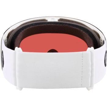 Oakley Flight Deck L Prizm goggles 3.Image