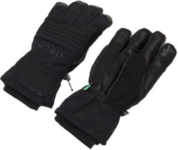 Oakley B1B kesztyű 2.Kép