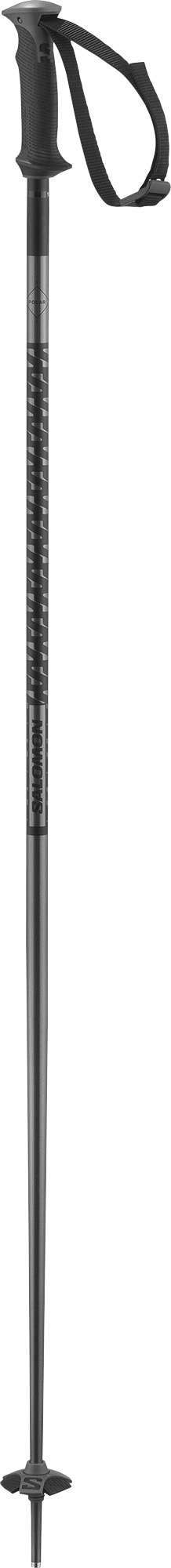 Salomon Polar ski poles 2.Image