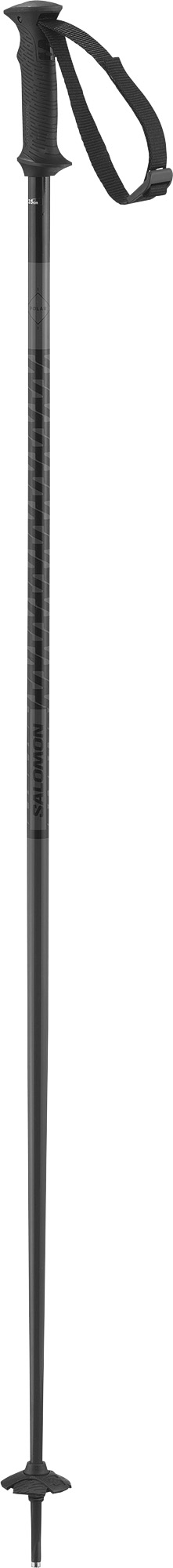 Salomon Polar Access ski poles 2.Image