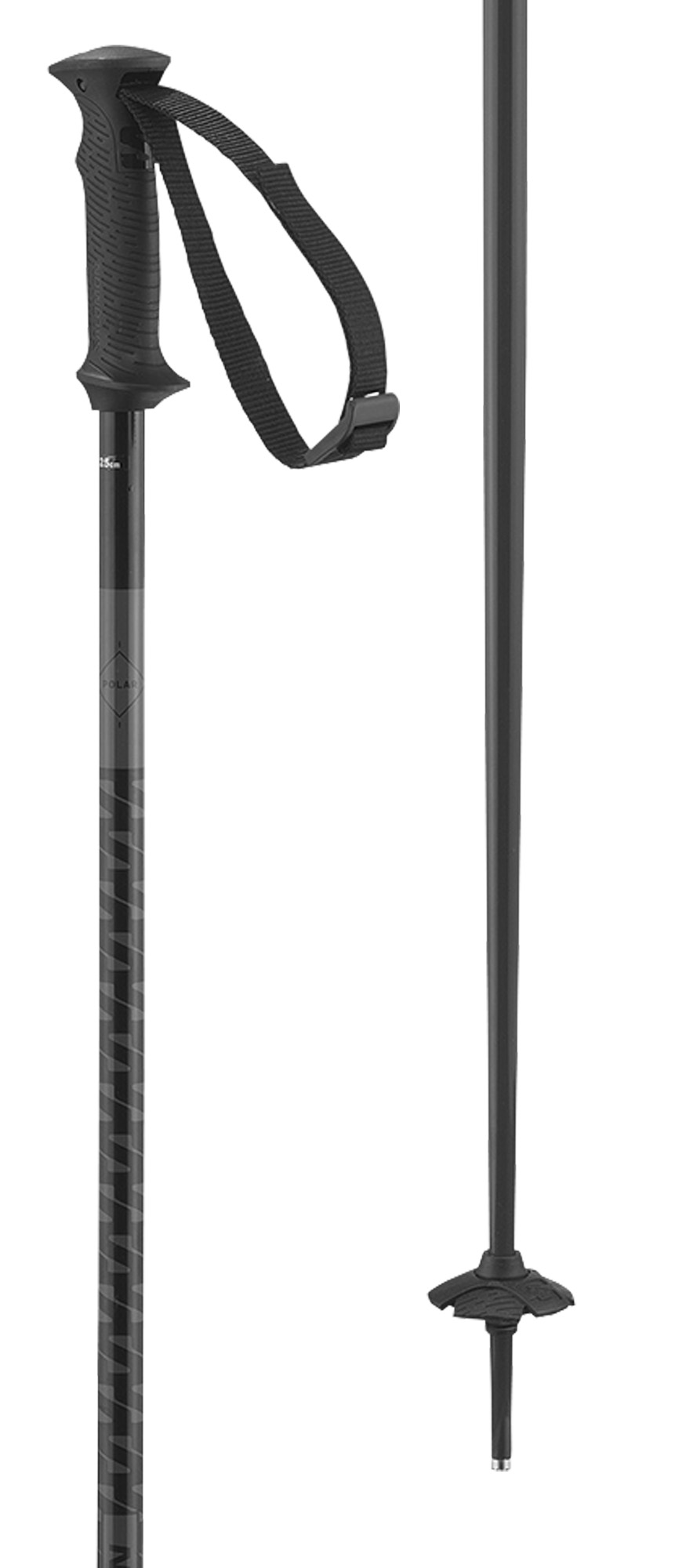 Salomon Polar Access ski poles