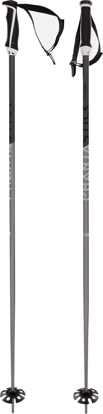 Völkl Phantastick ski poles 2.Image