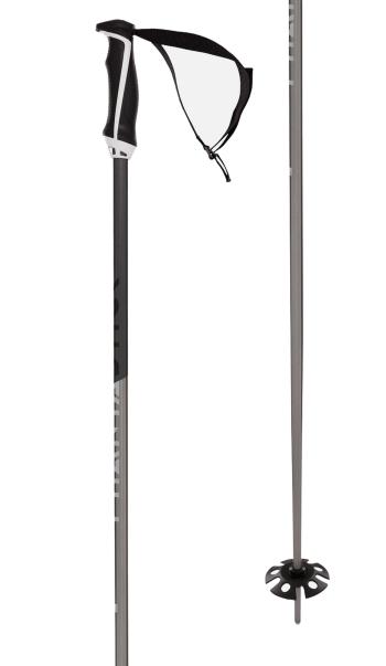 Völkl Phantastick ski poles 1.Image
