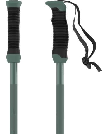 Atomic AMT SQS ski poles 3.Image