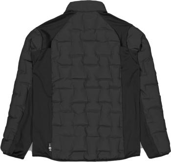 Picture Horses FZ down jacket 2.Image