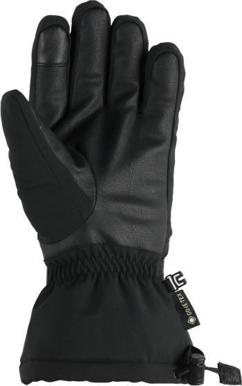 Spyder Traverse GTX gloves 2.Image