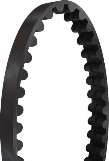Gates Carbon Drive CDN 125T szíj Kép
