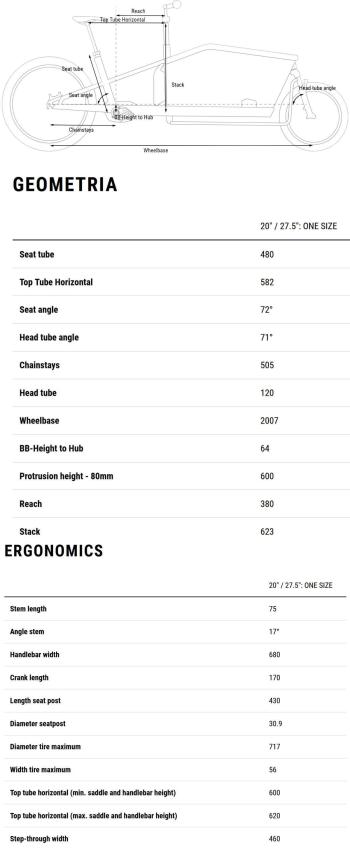 Cube Cargo Dual Hybrid 1000 20/27.5 e-bike 10.Image