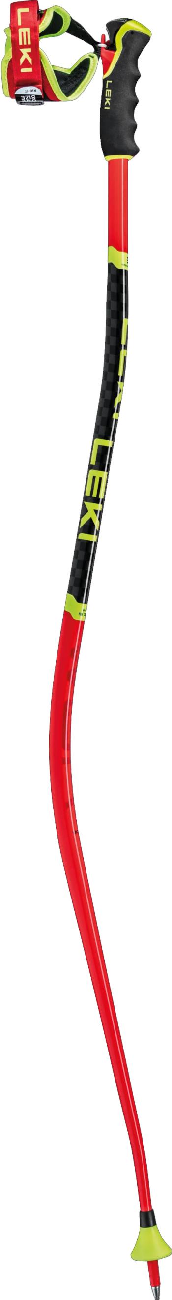 Leki WCR SG/DH 3D ski poles 2.Image