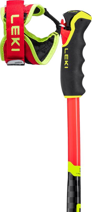 Leki WCR SG/DH 3D ski poles 3.Image