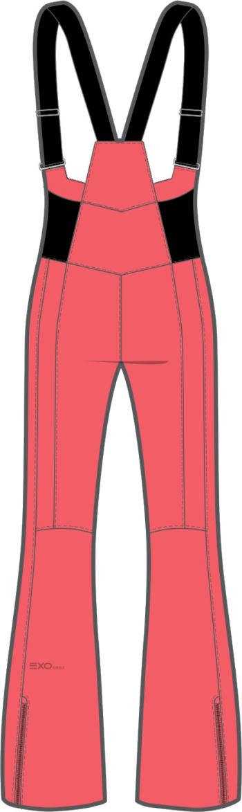 Spyder WMS Strutt Bib pants 2.Image