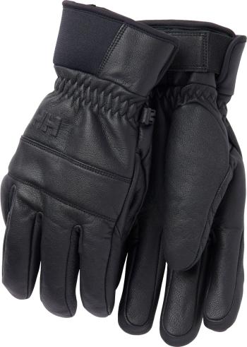 Helly Hansen Alpha gloves 1.Image