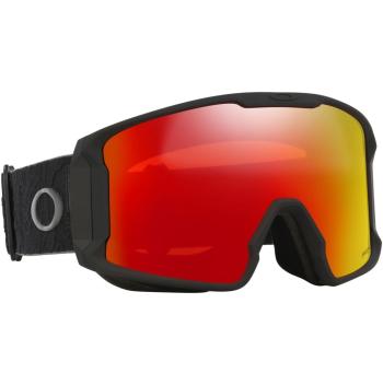 Oakley Line Miner L Prizm síszemüveg 2.Kép