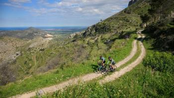 Cube Nuroad Pro bike 9.Image