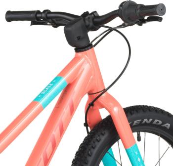 Scott Scale 200 bikes 7.Image