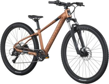Scott Roxter 600 bikes 2.Image