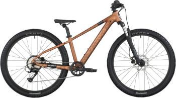 Scott Roxter 600 bikes 1.Image