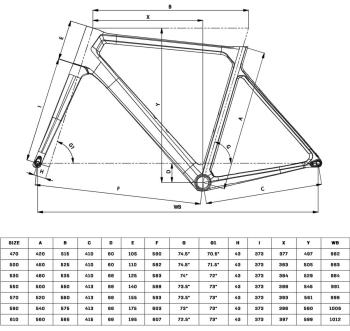 Bianchi Sprint ICR 105 bikes 2.Image