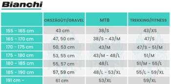 Bianchi Magma 29 S Cues 2*9 kerékpár 3.Kép