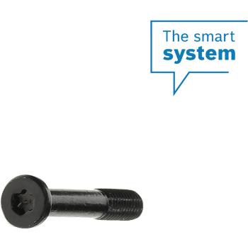 Bosch System controller tartó csavar Kép